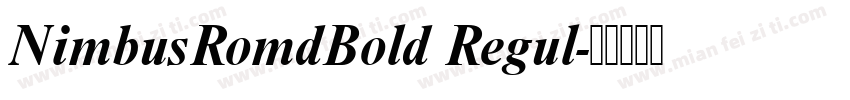 NimbusRomdBold Regul字体转换